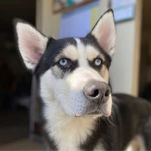 Meet your Posher, Brianna